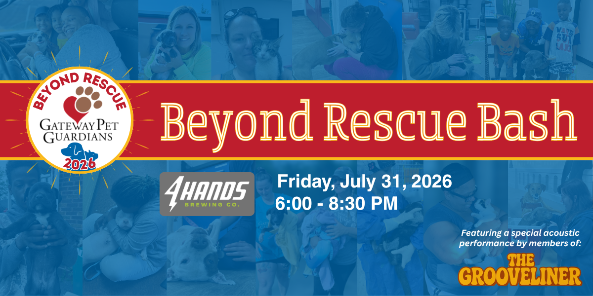 Campaign cover image for 2026 Beyond Rescue Bash