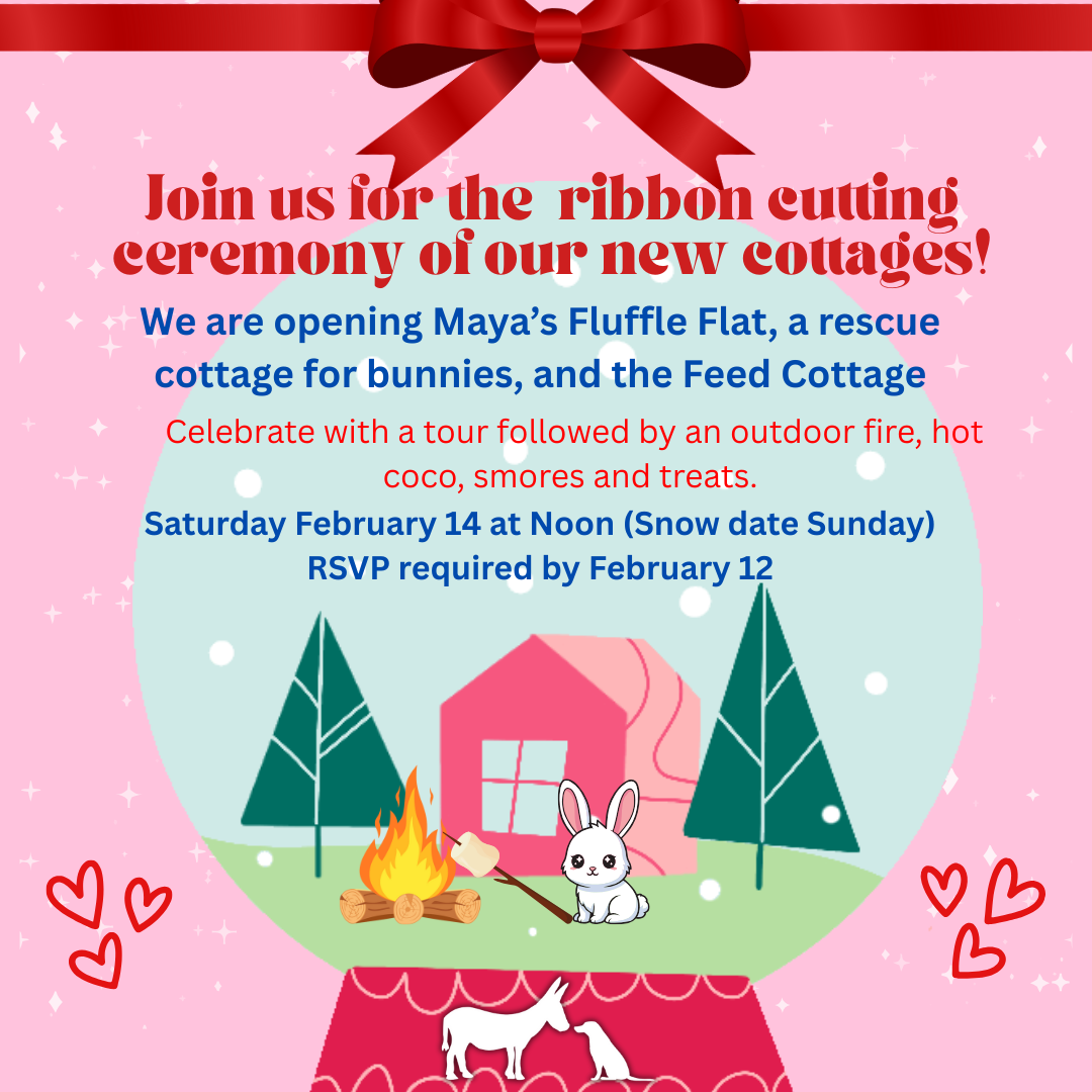 Campaign cover image for Ribbon Cutting Party