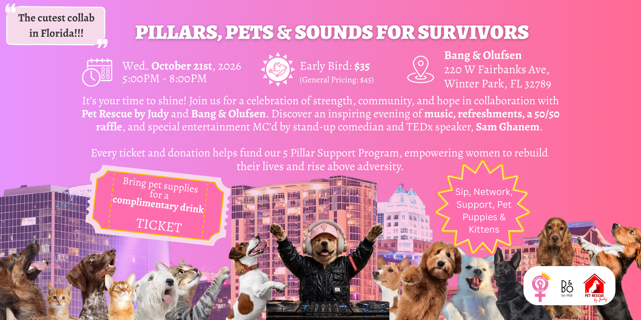 Campaign cover image for Women Above Power - Pets and Percussions