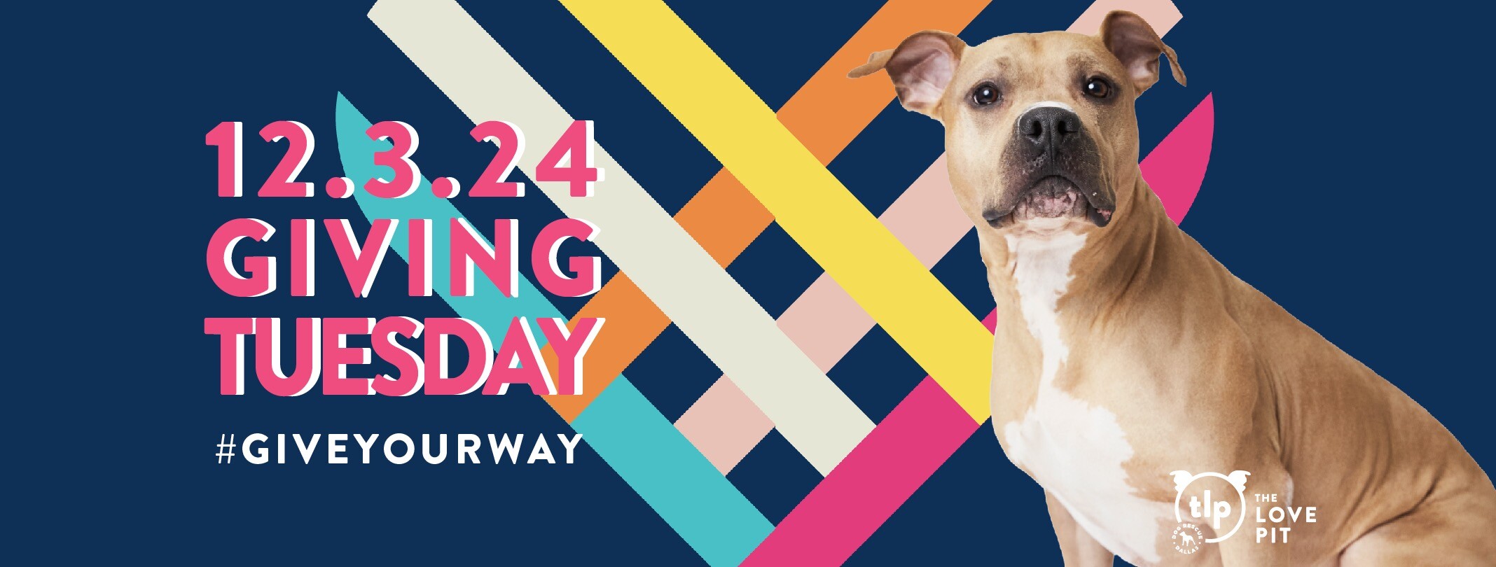 Campaign cover image for Giving Tuesday 2024