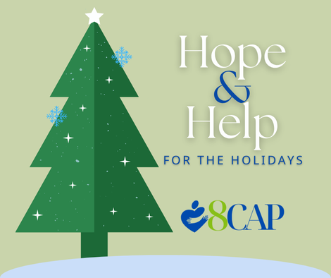 Campaign cover image for Hope & Help for the Holidays
