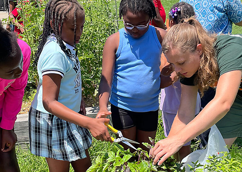 Campaign cover image for New Beginnings Learning Academy