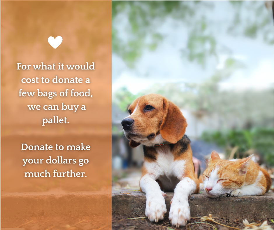 Campaign cover image for Their Lives, Our Responsibility! Food and Care Fund