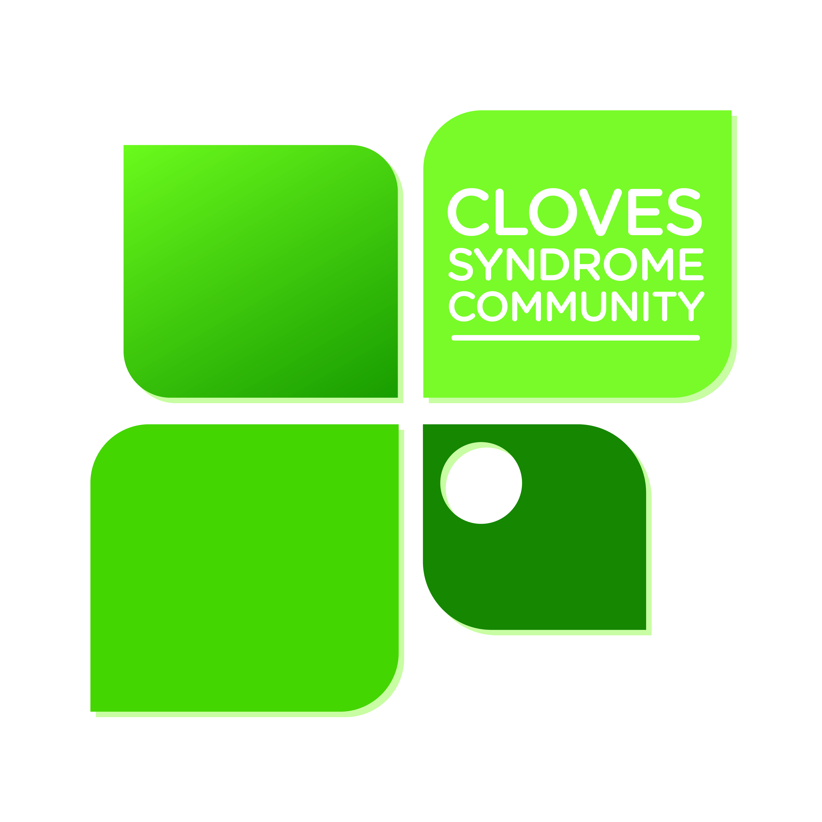 Campaign cover image for CLOVES Syndrome Community General Fund