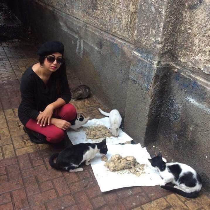 Campaign cover image for Help The Animal Rescue Samar Cover Unjust Legal Fines