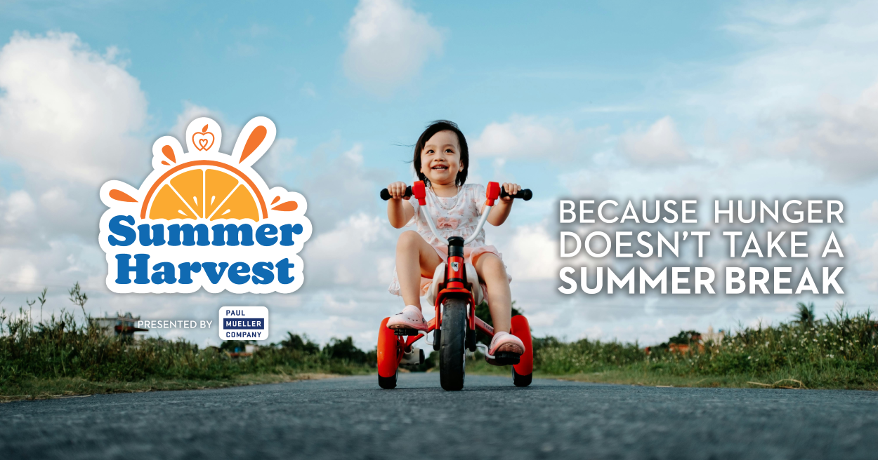 Campaign cover image for Summer Harvest 2025