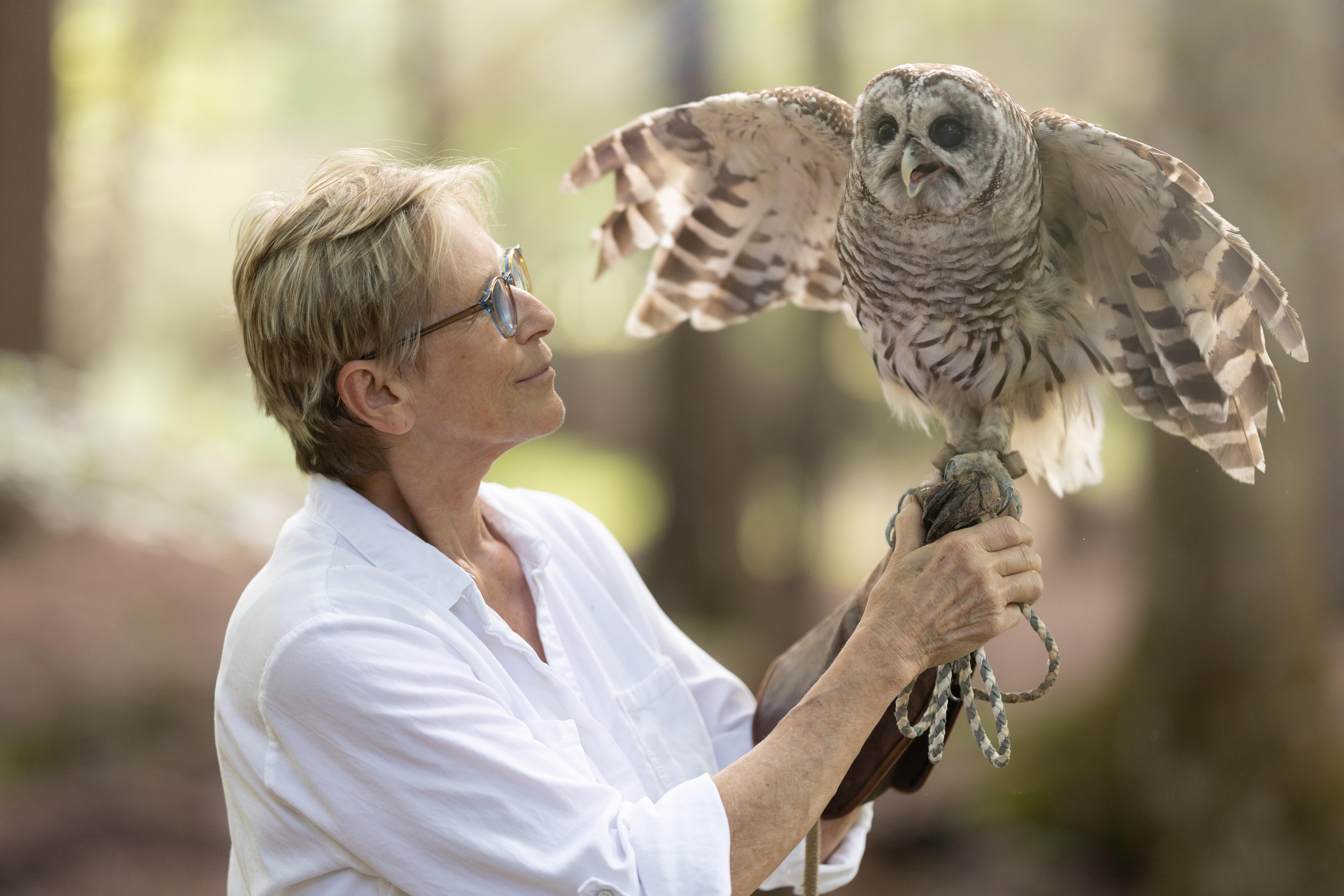 Campaign cover image for Meet the Birds of Ravensbeard Wildlife Center
