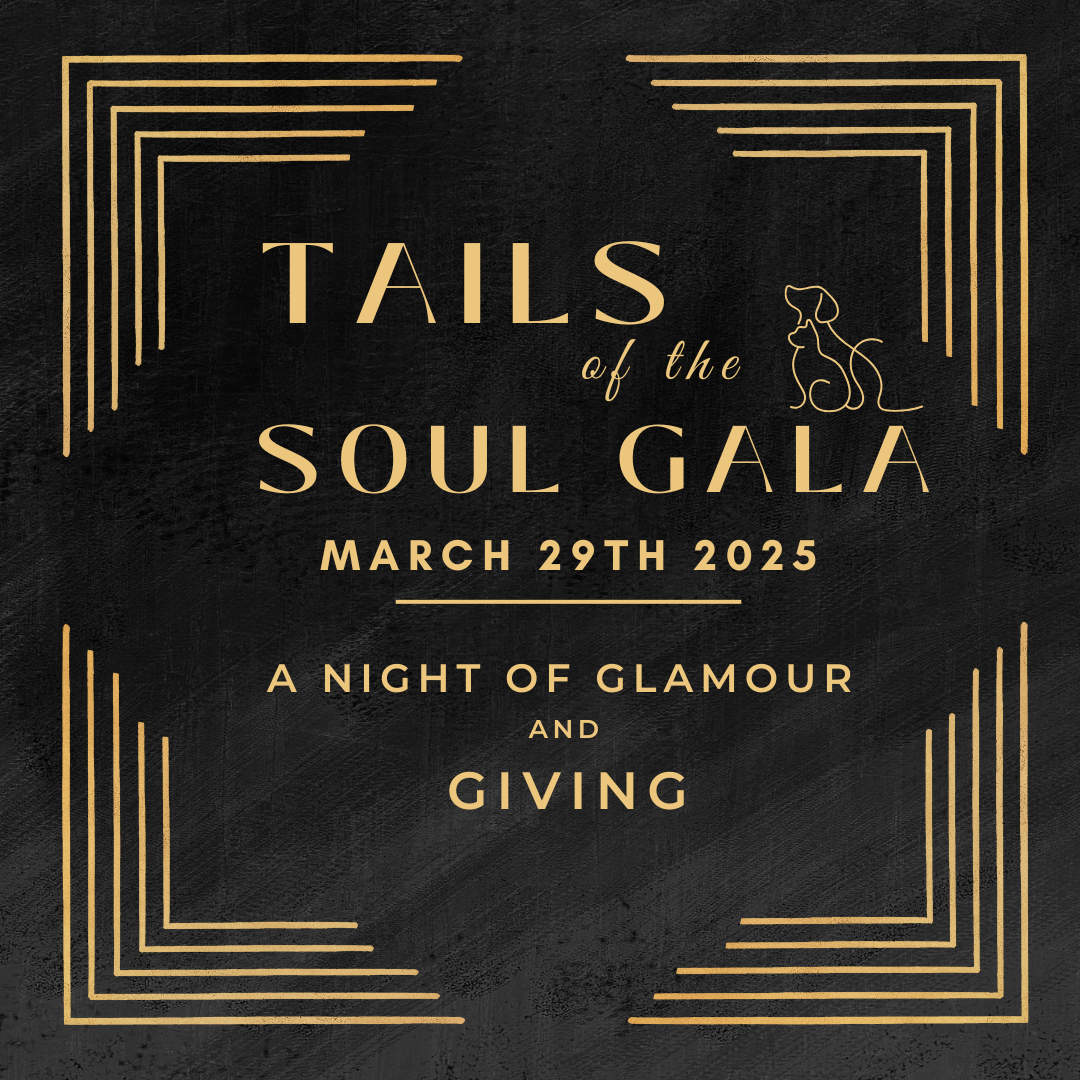 Campaign cover image for Tails of the Soul