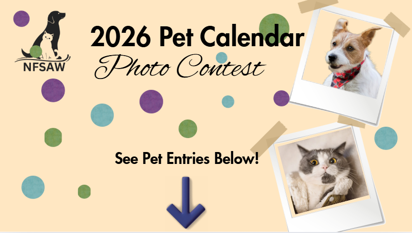 Campaign cover image for 2026 NFSAW Calendar Contest