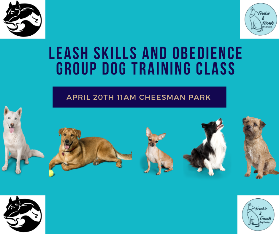 Campaign cover image for Leash Skills and Obedience