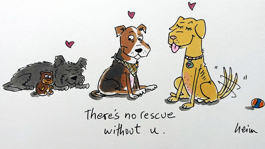 Campaign cover for OURS Evangeline