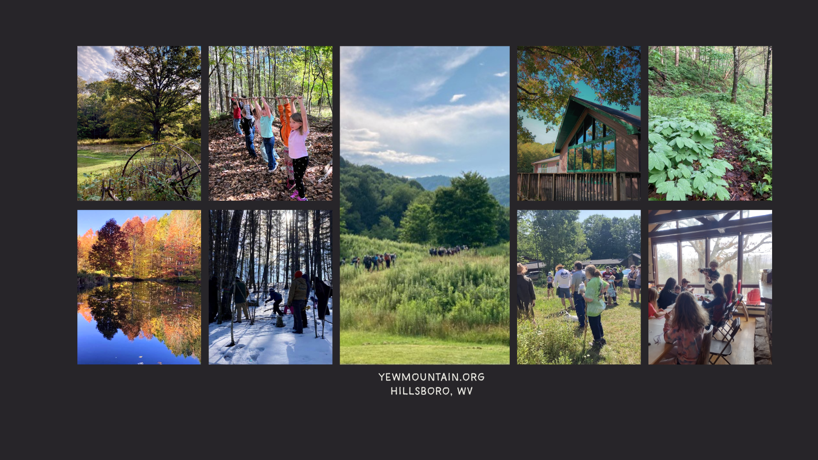 Campaign cover image for We Need Yew