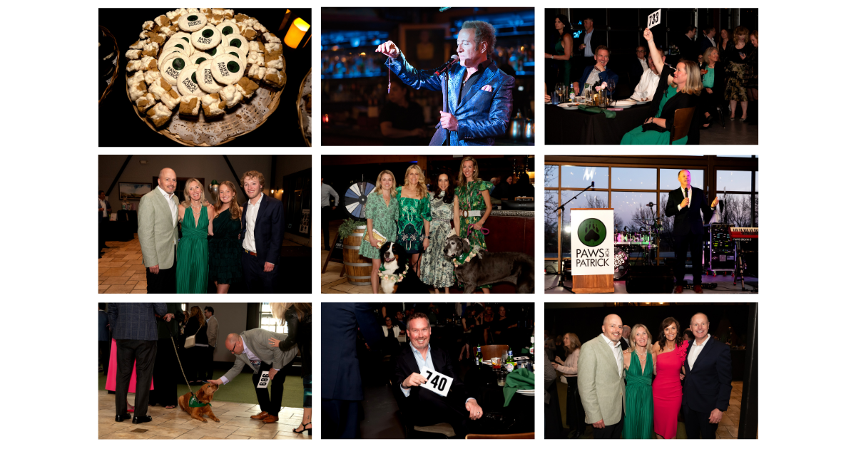 Campaign cover image for Paws for a Cause Benefit 2026