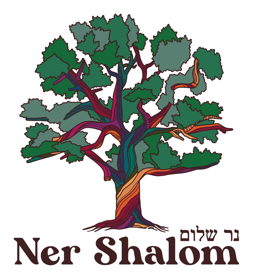Campaign cover image for Ner Shalom 2025 Fundraiser