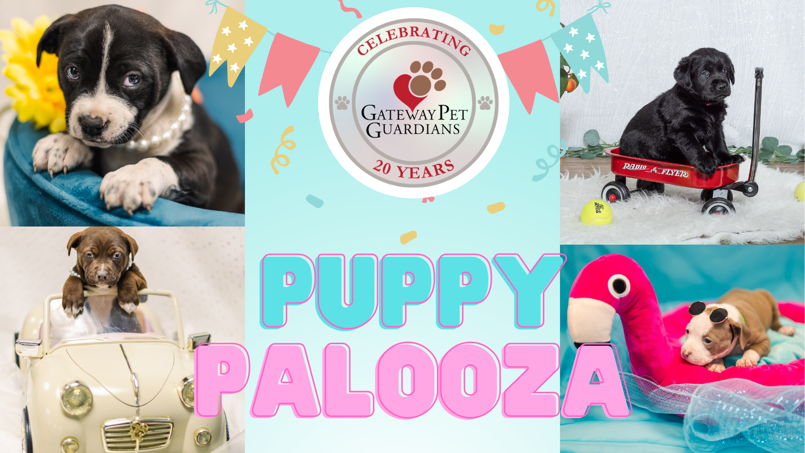 Campaign cover image for Puppy Palooza 2024