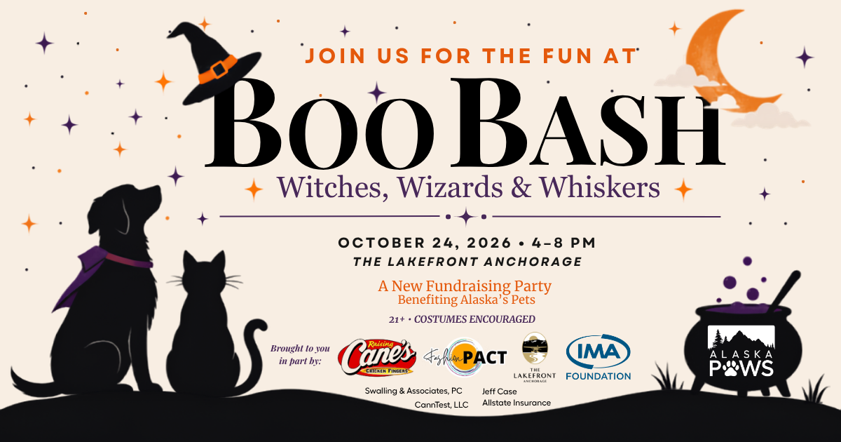 Campaign cover image for Boo Bash: Witches, Wizards & Whiskers