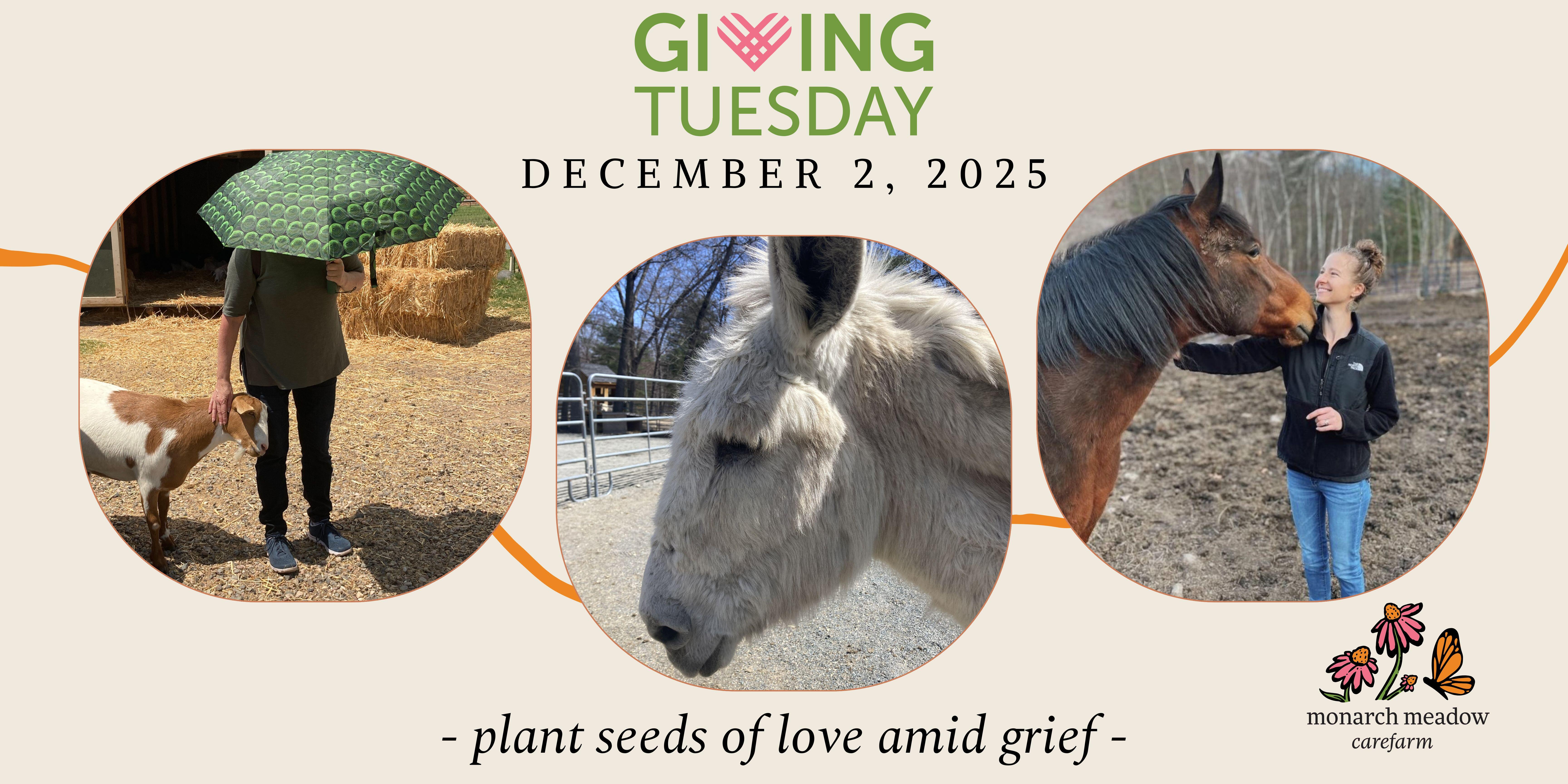 Campaign cover image for - plant seeds of love amid grief -