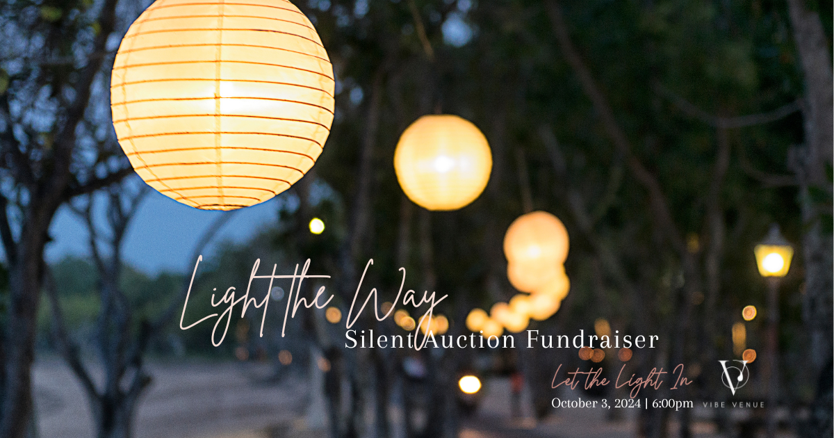 Campaign cover image for Light the Way