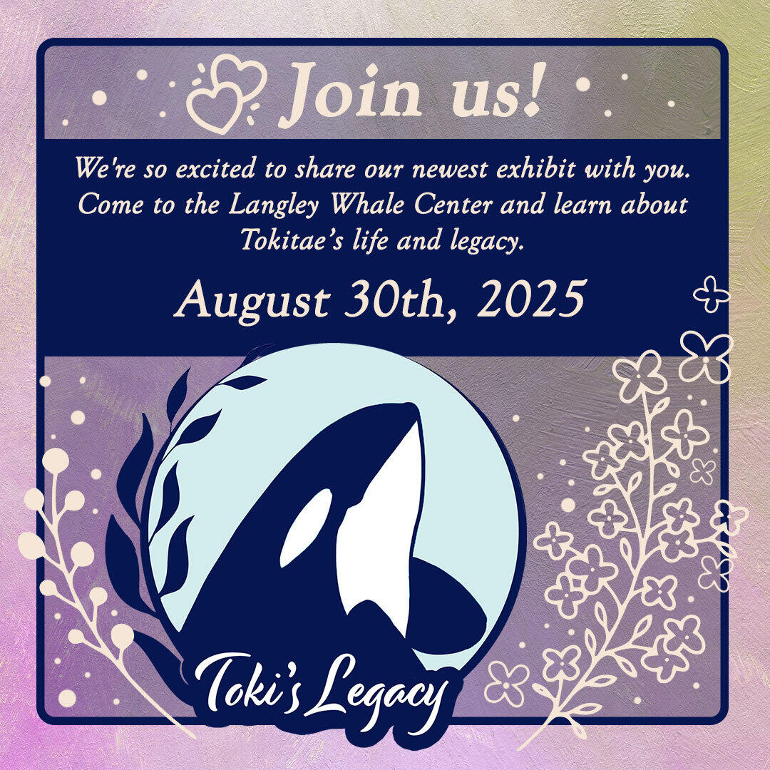 Campaign cover image for Toki's Legacy Exhibit Debut