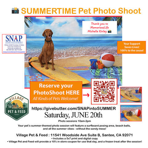 Campaign cover image for 🐶🏖️SNAP's Dog Days of Summer Photo Event🐶🏖️