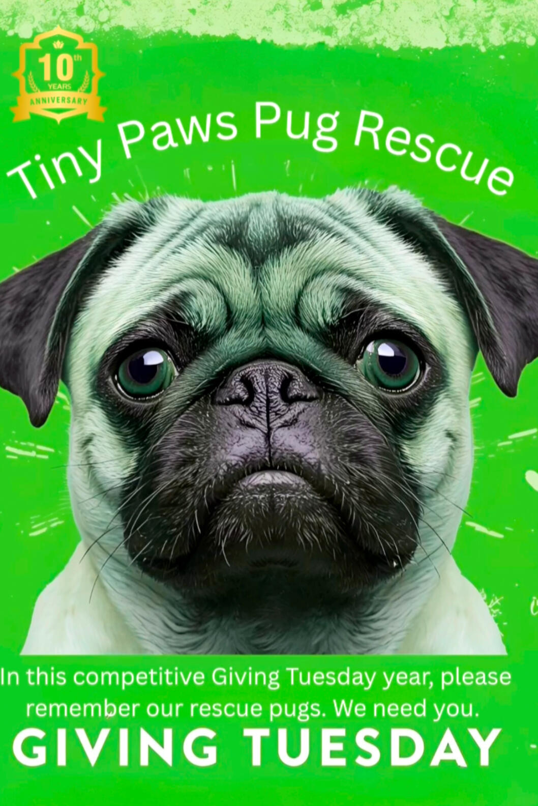 Campaign cover image for Giving Tuesday - Help us Meet Our Goal