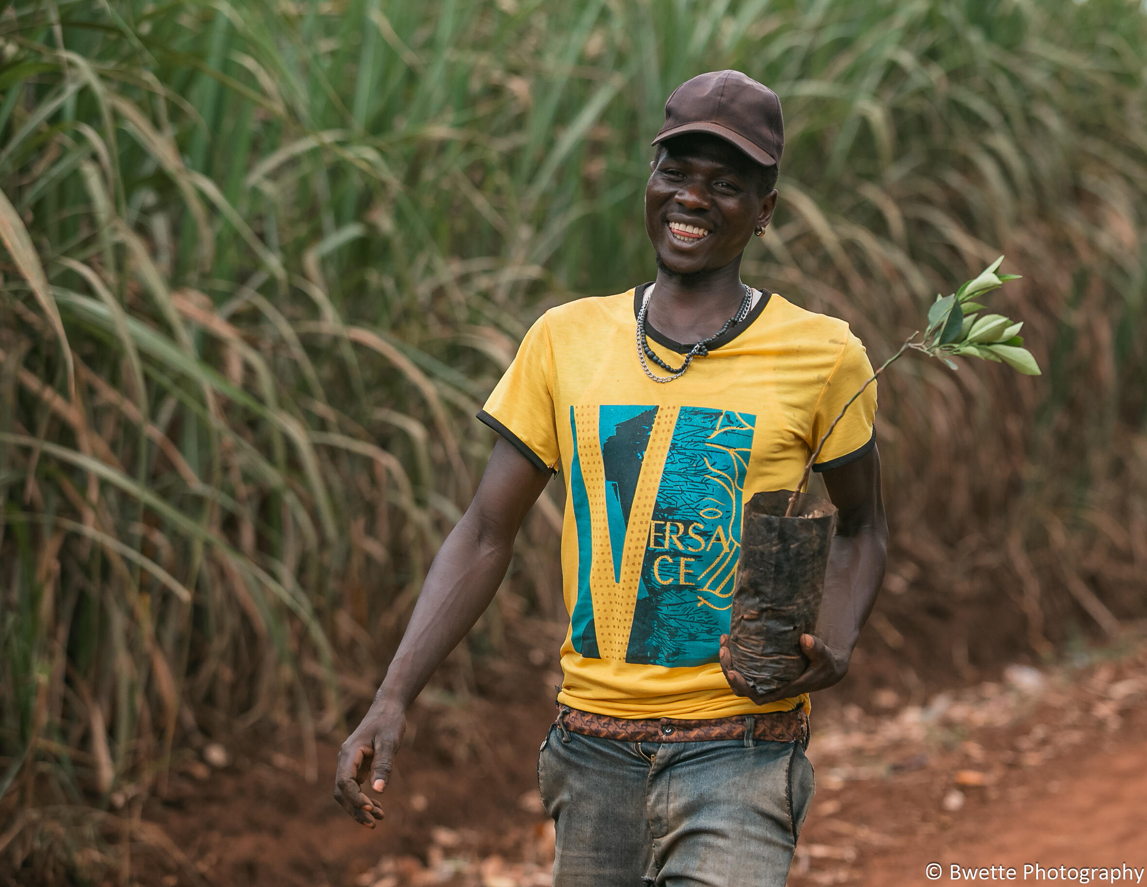 Campaign cover for Plant a Tree, Empower a Refugee with TAO Africa