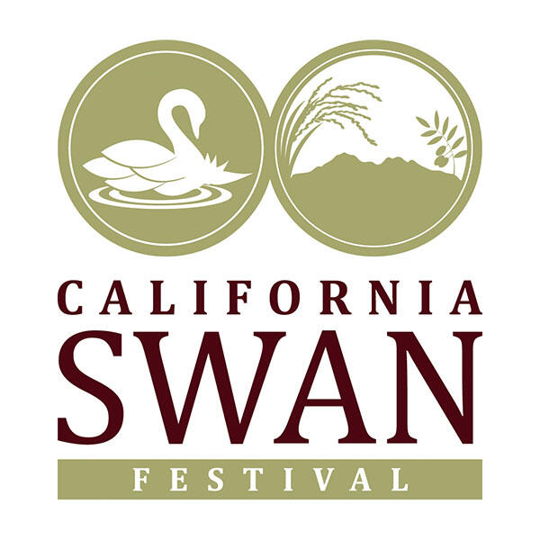 Campaign cover image for 2026 Swan Festival