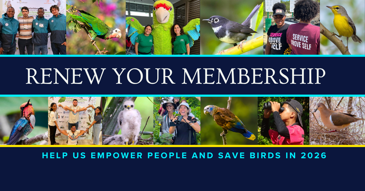 Campaign cover image for Renew your BirdsCaribbean Membership Today!