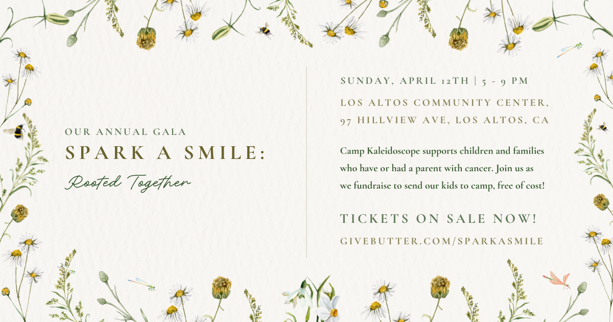 Campaign cover image for Spark A Smile 2026 Annual Gala