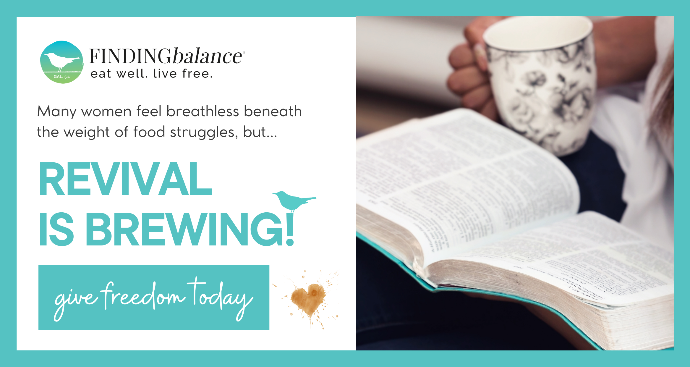 Campaign cover image for Give FREEDOM Year-End Fundraiser