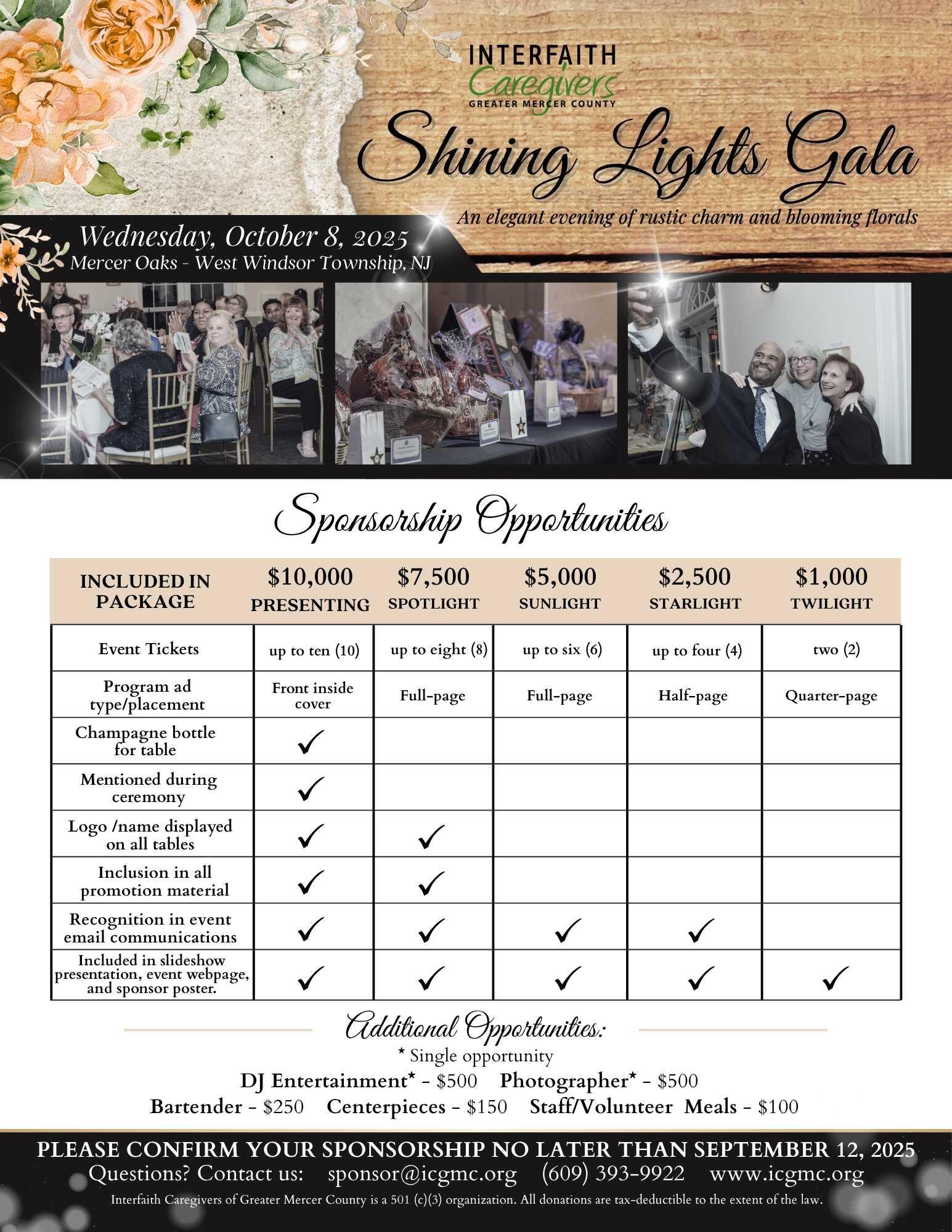Campaign cover for Shining Lights Gala Sponsorships 2025