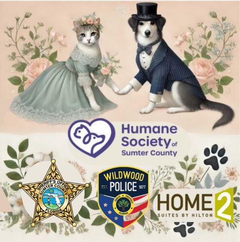 Campaign cover image for * SOLD OUT* "Paws for the Cause" FUR BALL