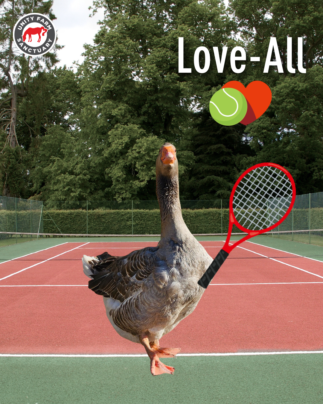 Campaign cover image for US Open 2025 Semi-Finals "Love All" Tickets