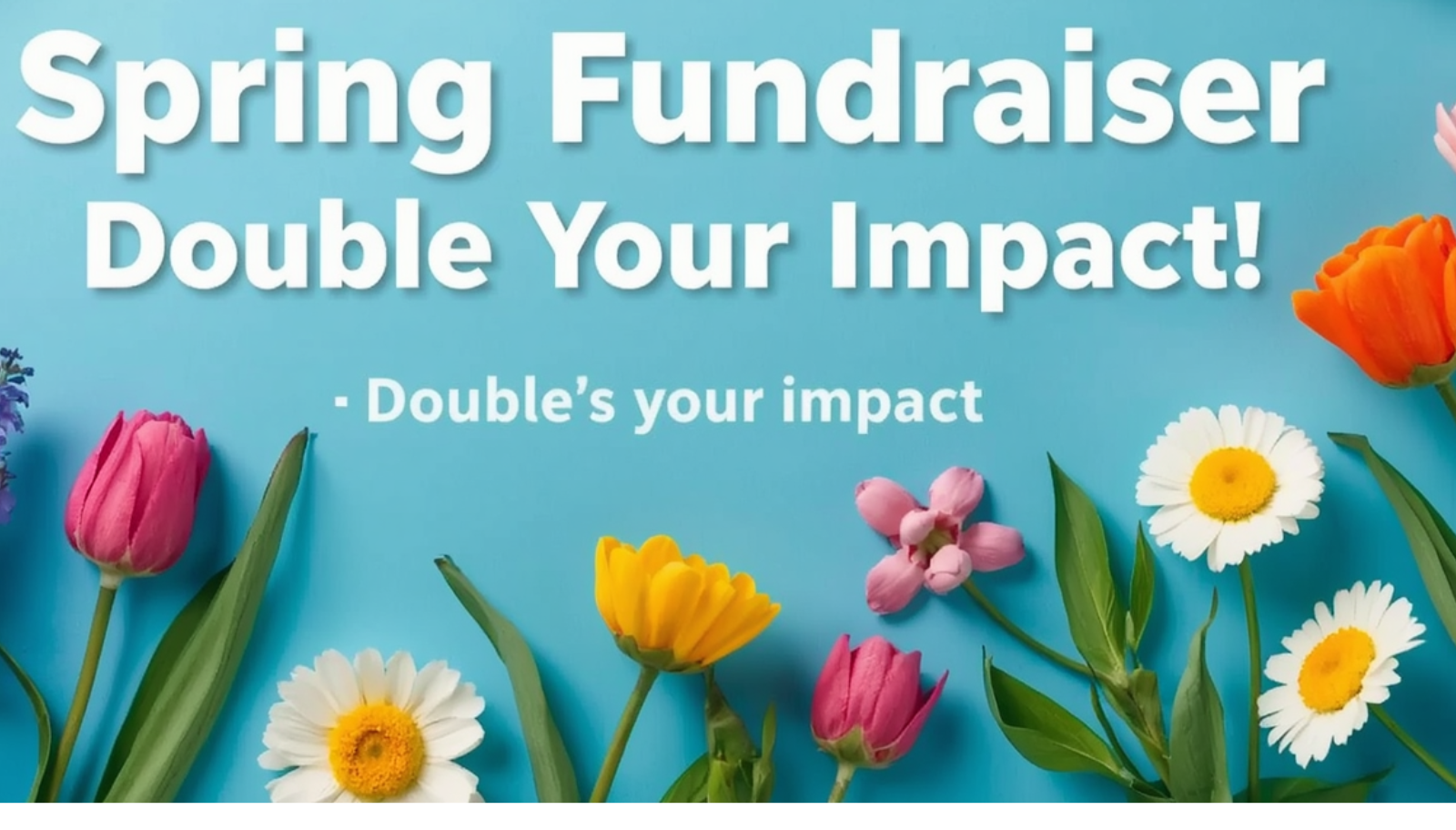 Campaign cover for "Double the Hope This Spring"