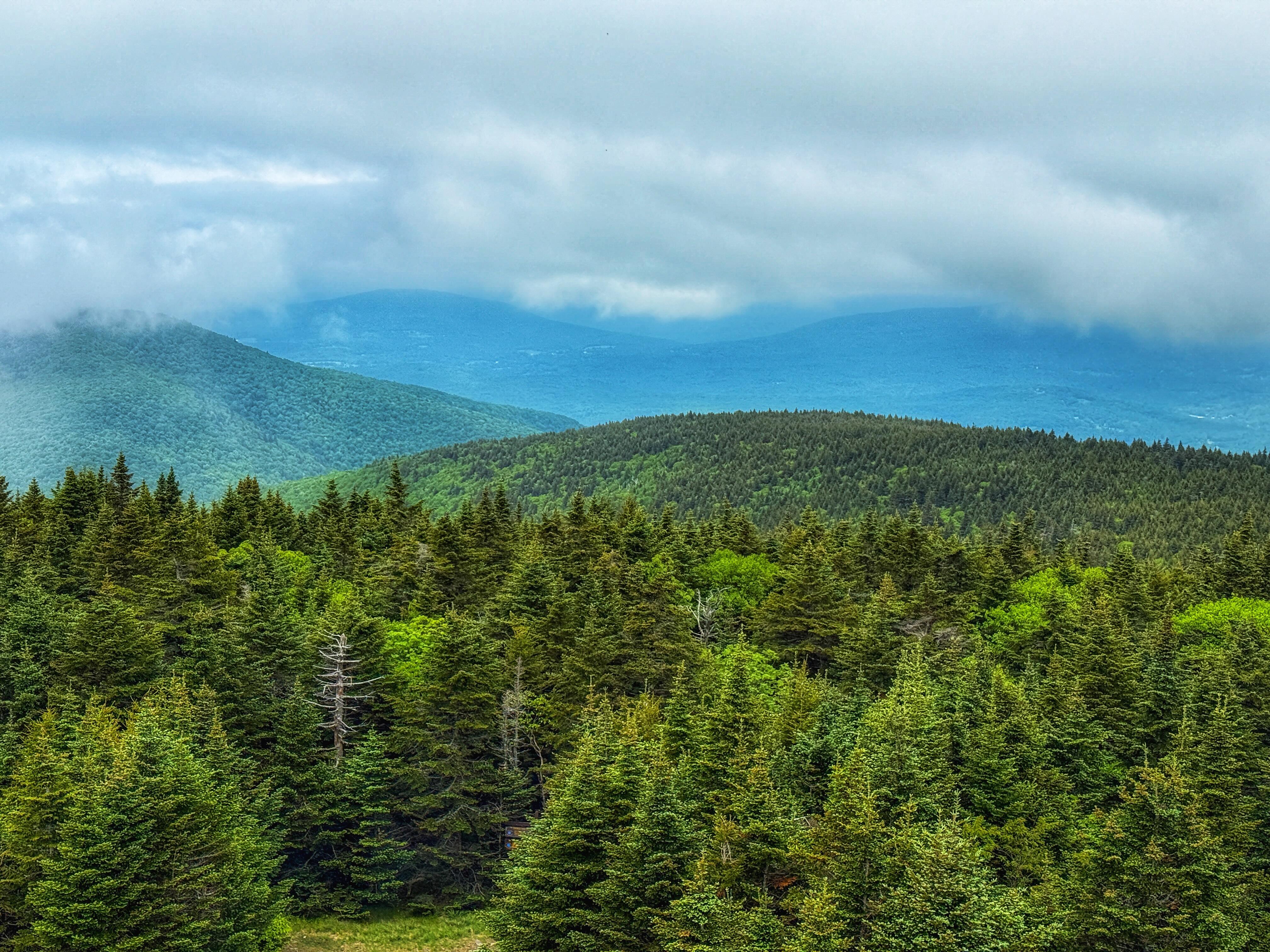 Campaign cover image for Protect the Path Hiking Series: Hunter Mountain Fire Tower