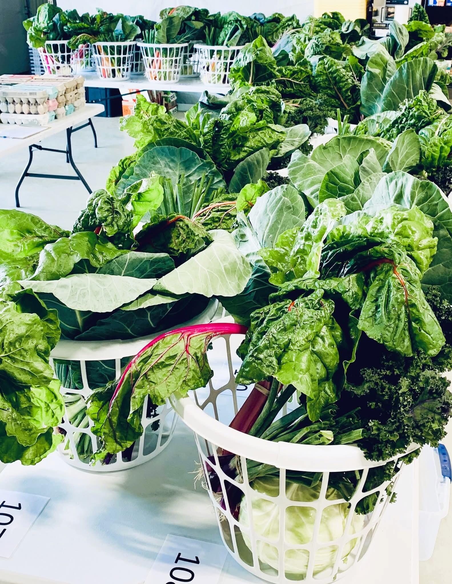 Campaign cover image for Income-Qualified Veggie Basket Program (50% Discount)