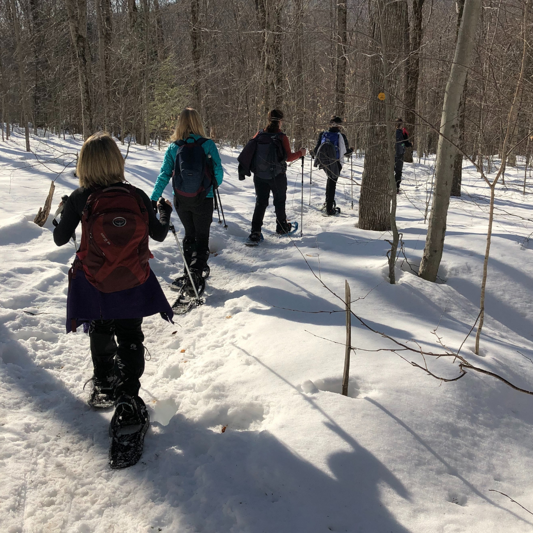 Campaign cover image for Hike & Learn Series: Learn to Snowshoe at the Catskills Visitor Center