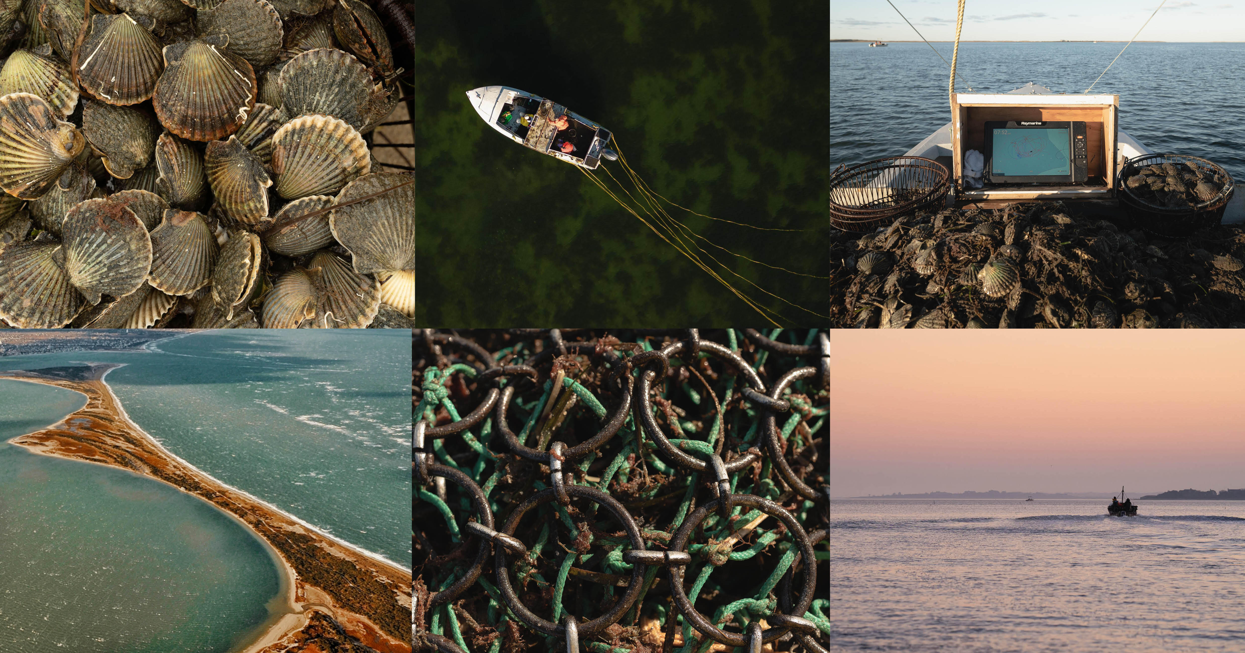 Campaign cover image for Nantucket Commercial Shellfish License Stipend