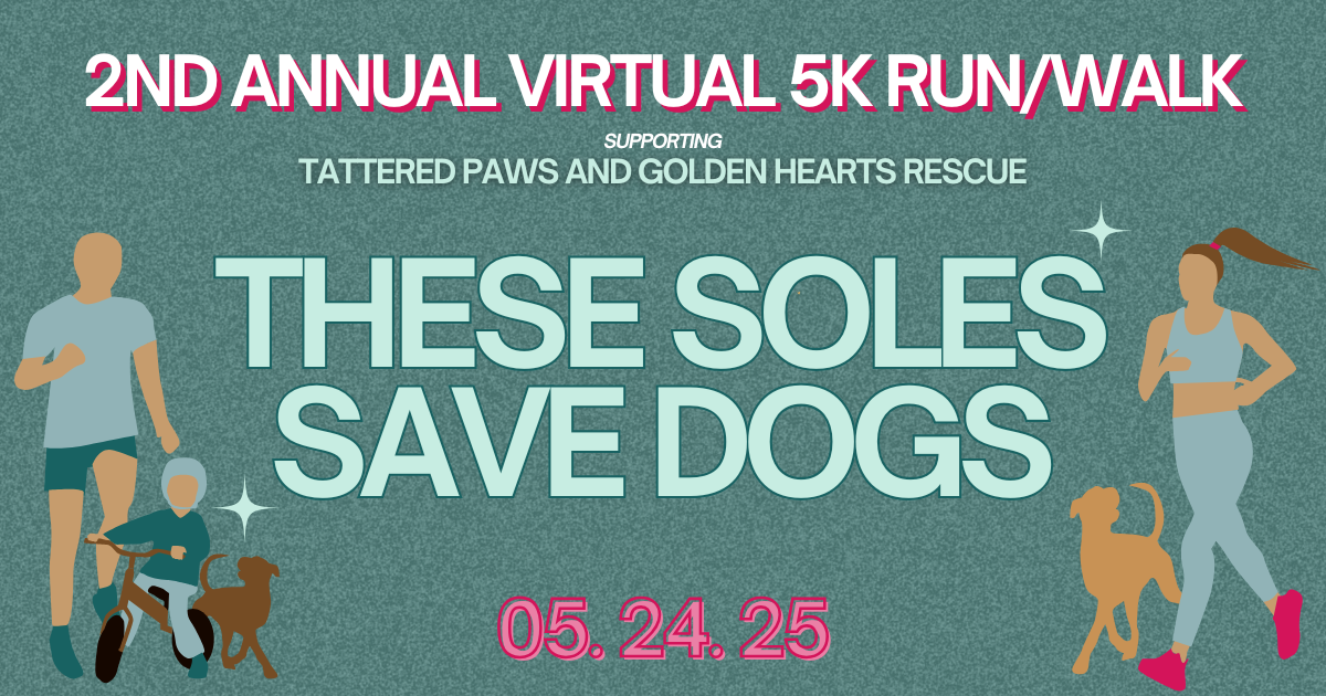Campaign cover image for 2025 TPGHR 2nd Annual Virtual 5K Run/Hike/Walk