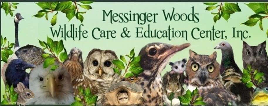 Campaign cover image for Messinger Woods Spring Handcrafted Auction (2nd Annual)!