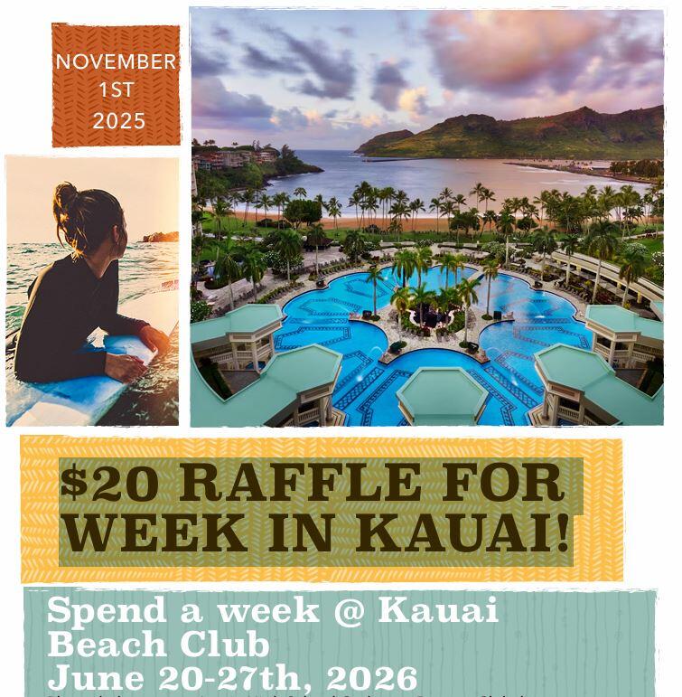 Campaign cover image for 25-26 Vacation Raffle AHSO Monster Concert