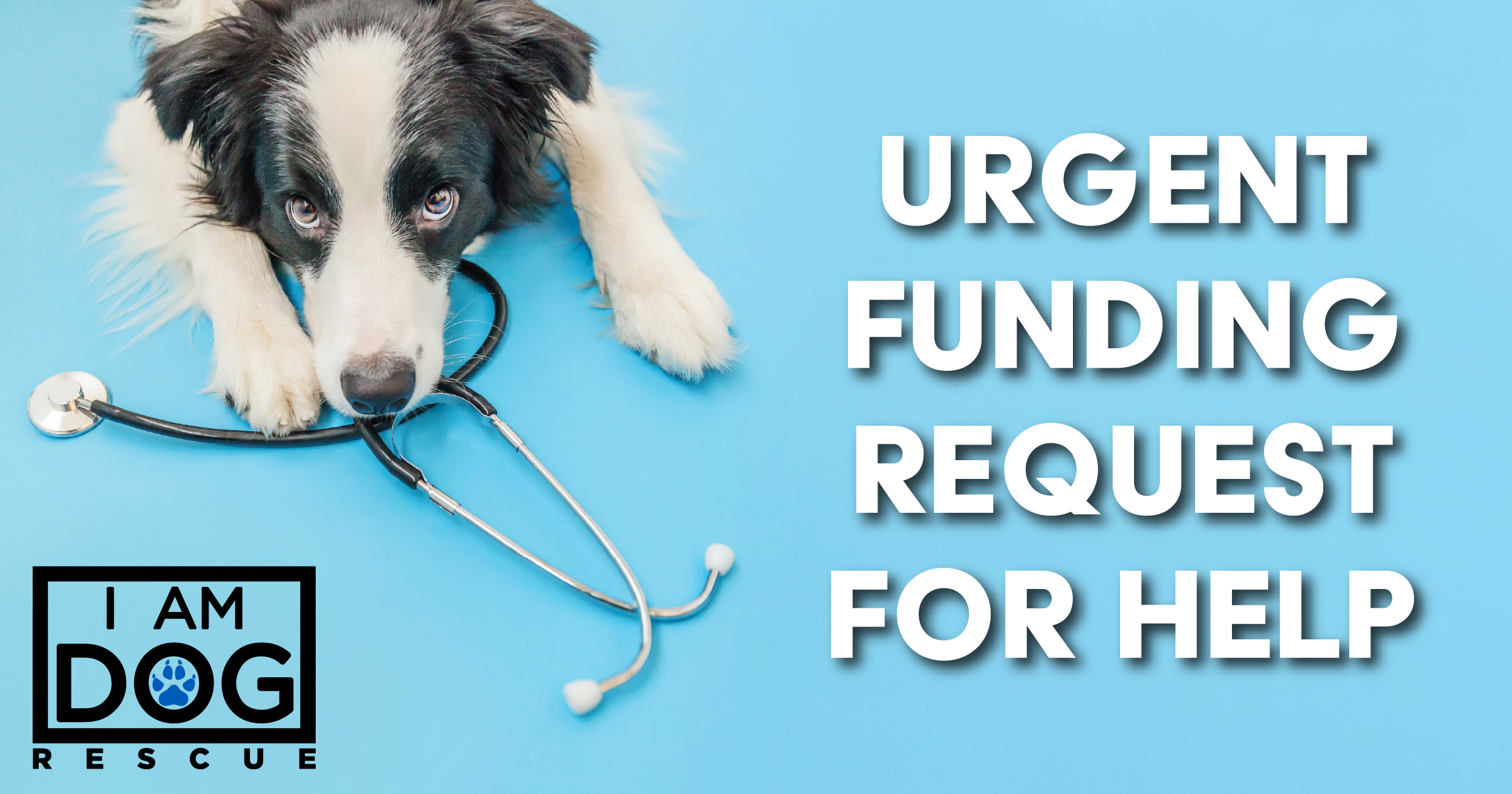 Campaign cover for Replenish Medical Funds