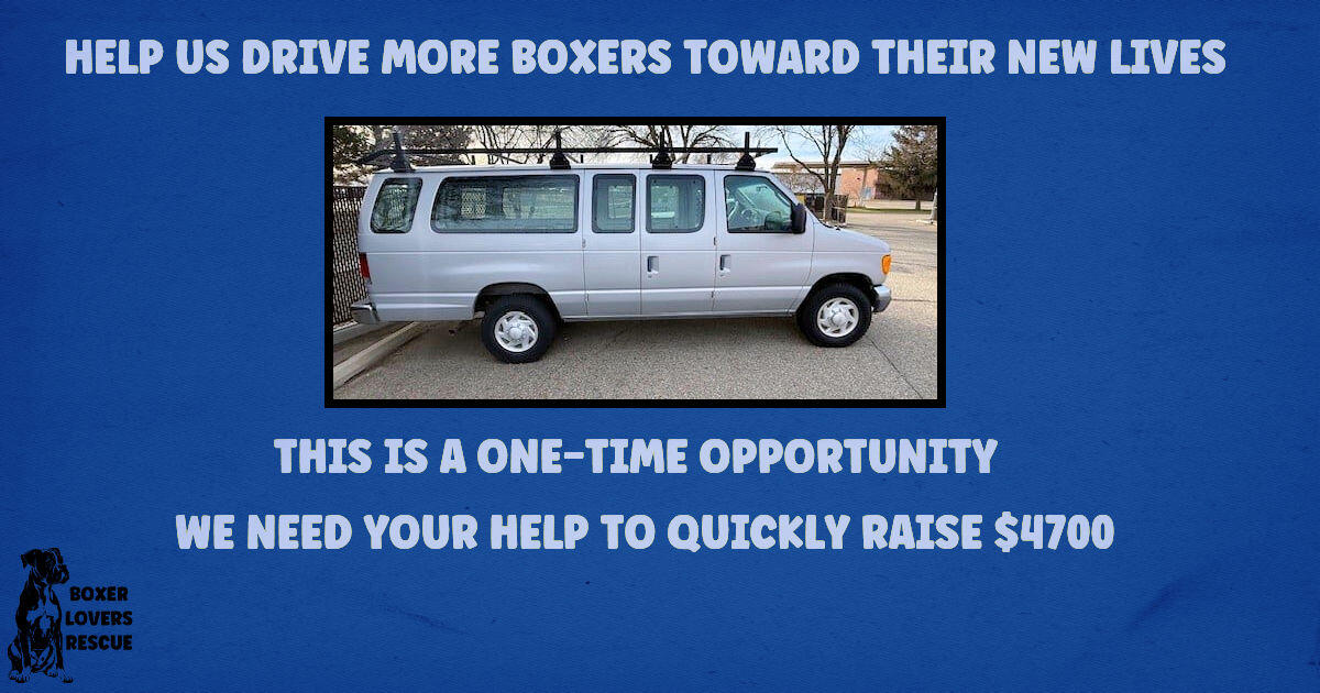 Campaign cover image for HELP US DRIVE MORE BOXERS TOWARD THEIR NEW LIVES