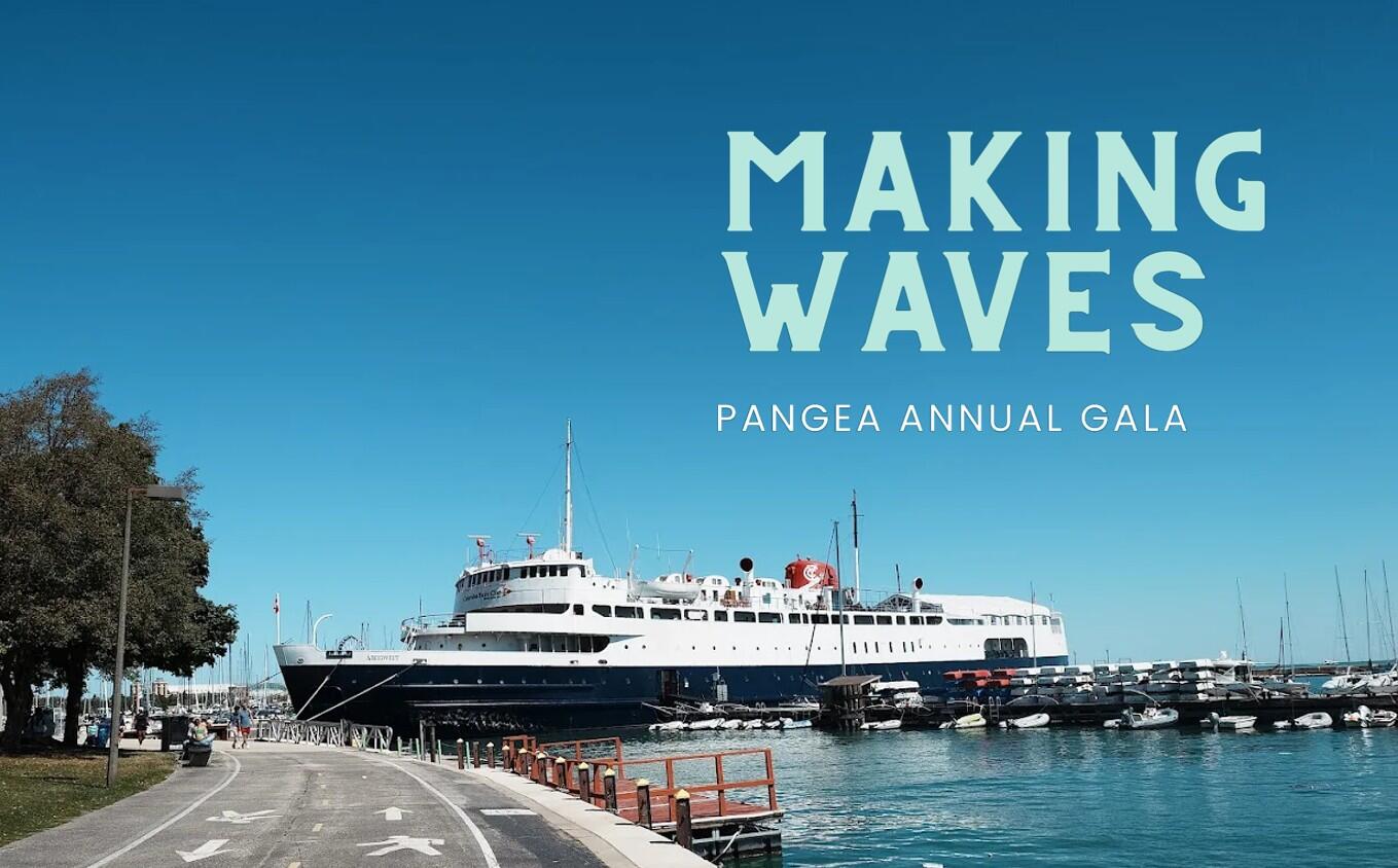 Campaign cover image for Making Waves
