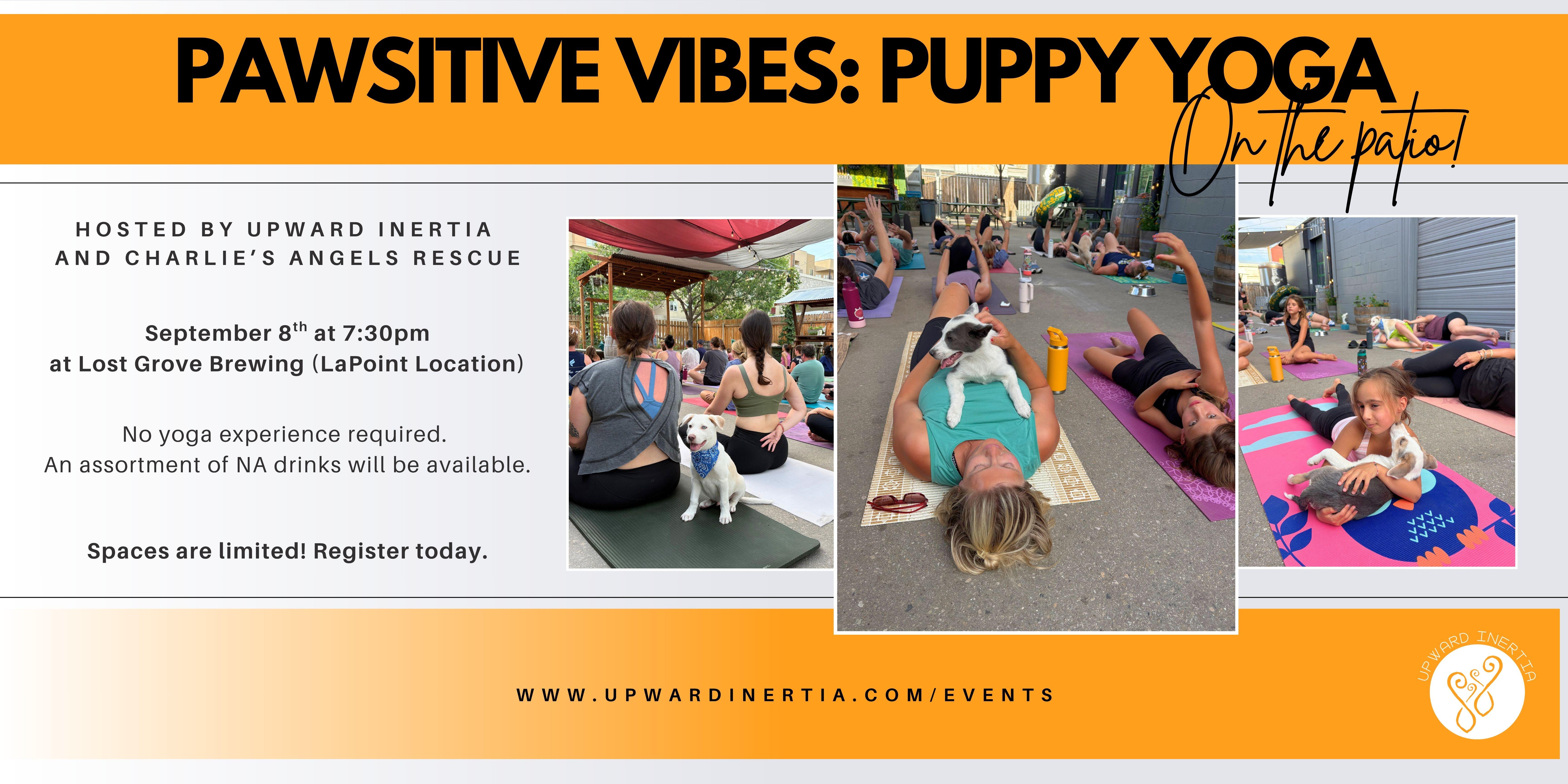 Campaign cover image for Pawsitive Vibes: Puppy Yoga on the Patio - with Upward Inertia and Charlie's Angels Rescue