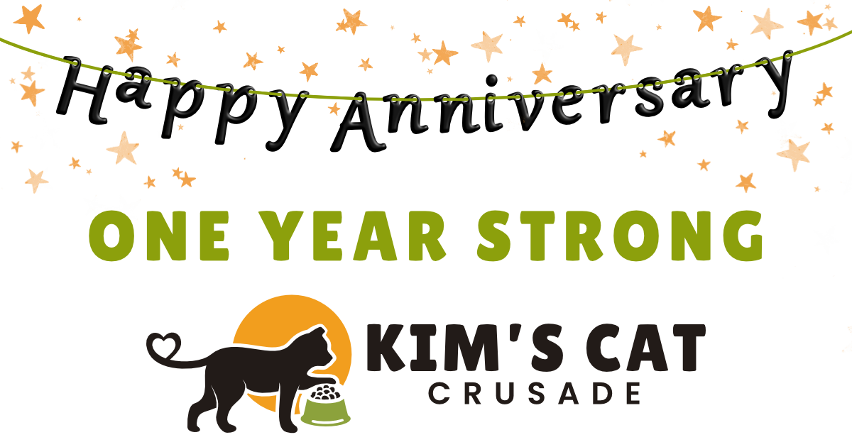 Campaign cover image for CELEBRATE - 1 Year Strong!