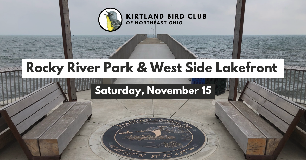 Campaign cover image for Nov 2025 Field Trip