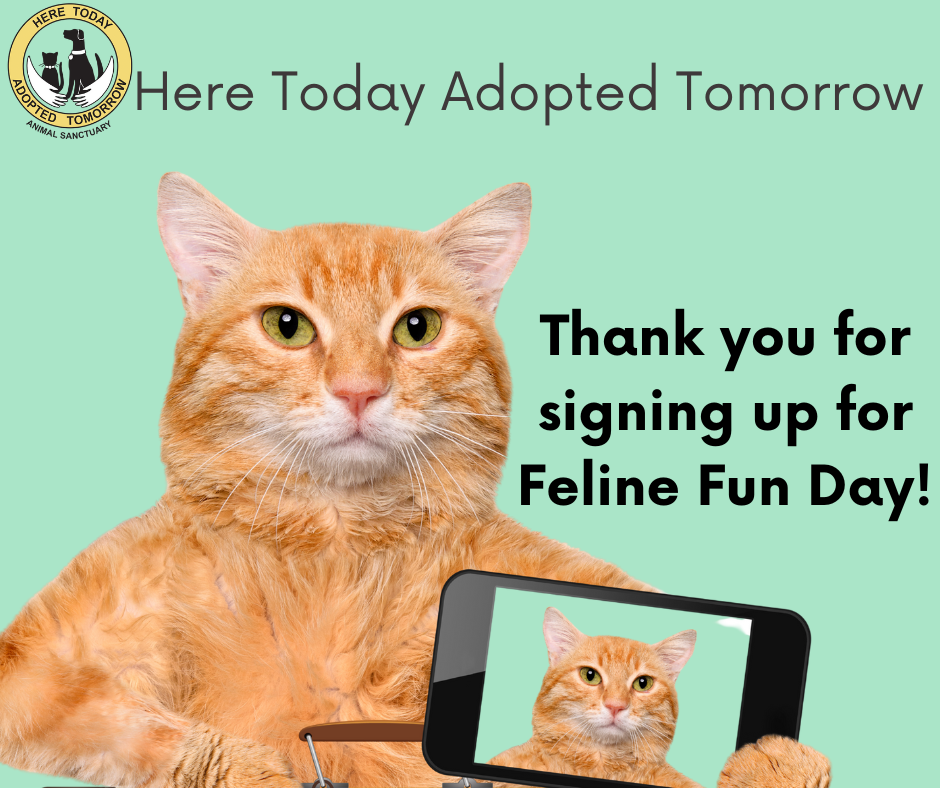 Campaign cover image for HTAT Feline Fun Day Vendor Sign Up 2025