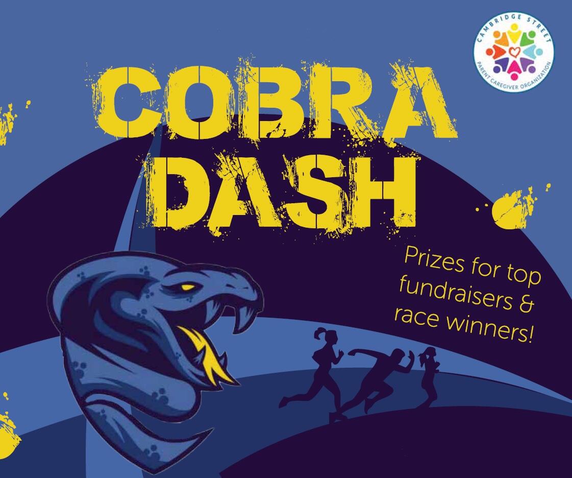 Campaign cover image for Cobra Dash 2025