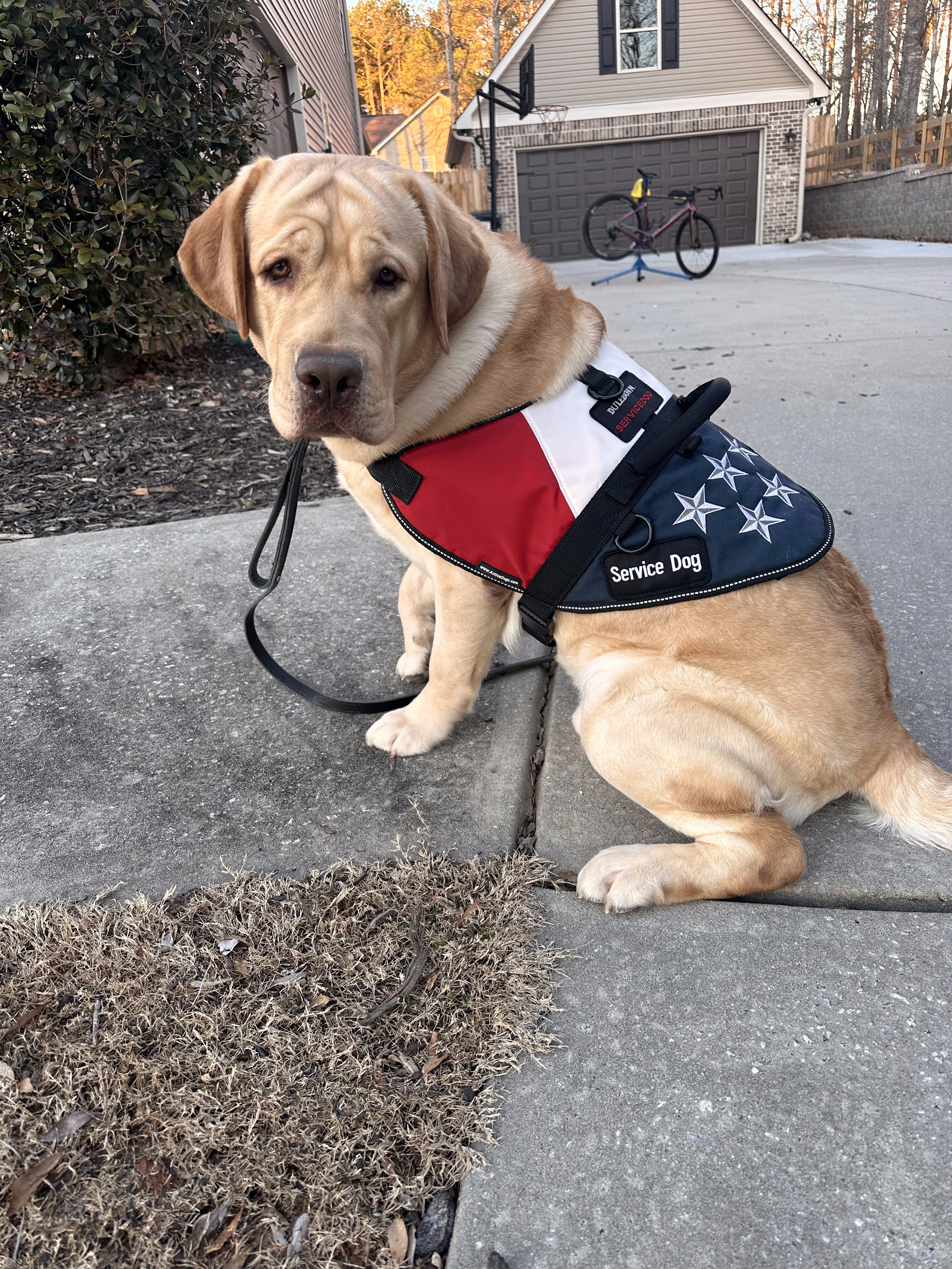 Campaign cover image for Big Hoss Cycling for Dulebohn Service Dogs